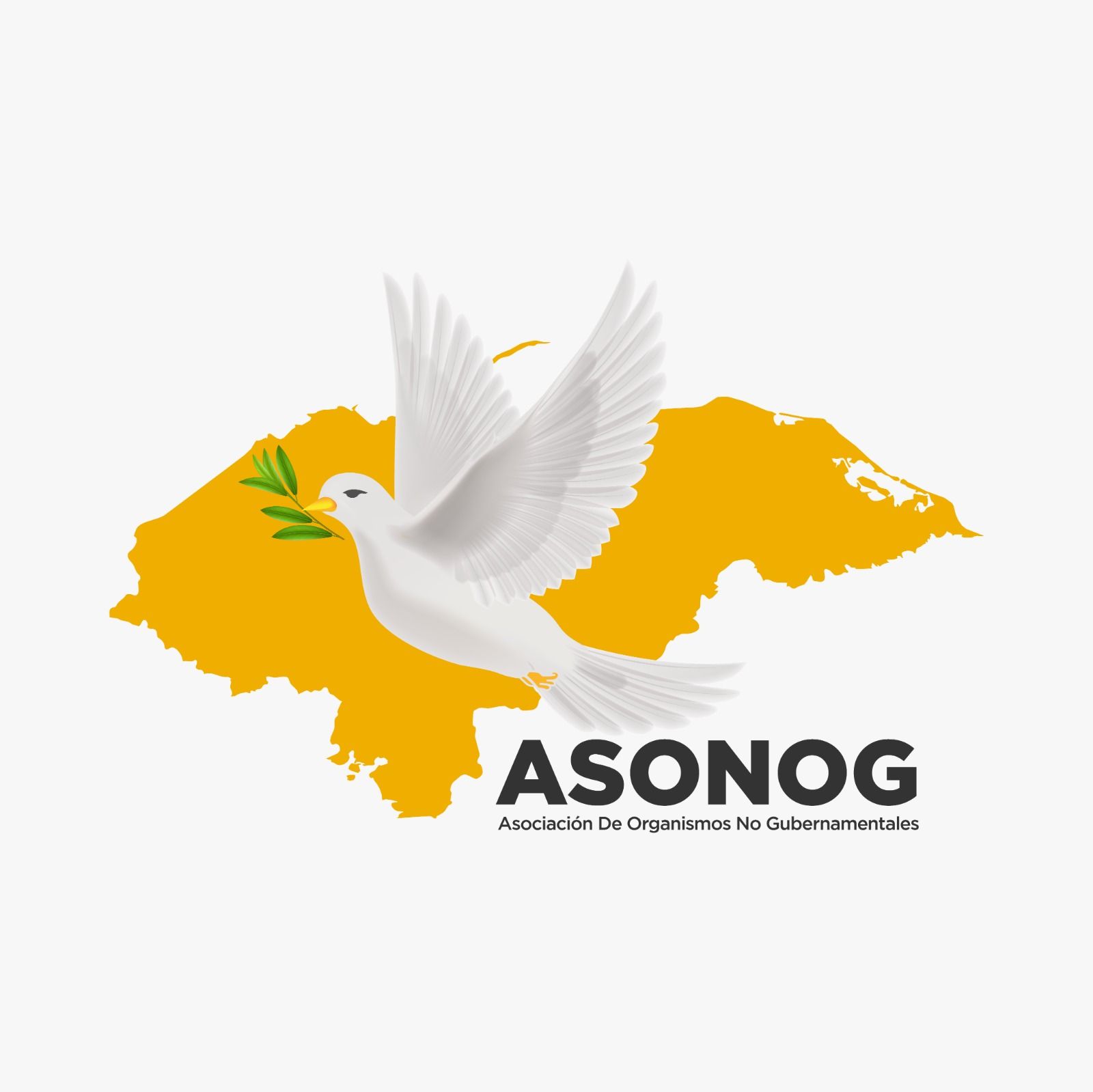 colaborador img